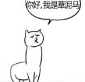 草.jpg