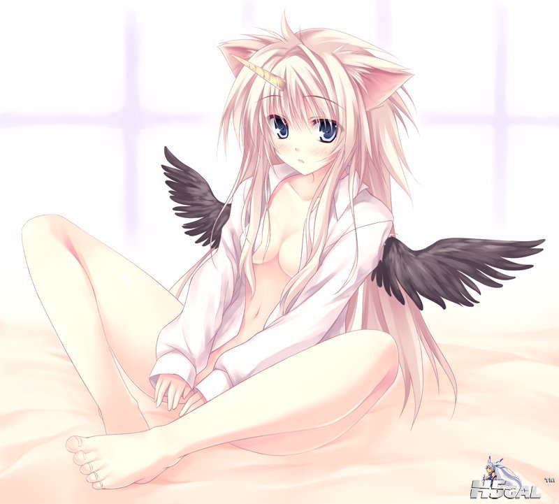 204822r57009homcr1e75w.jpg