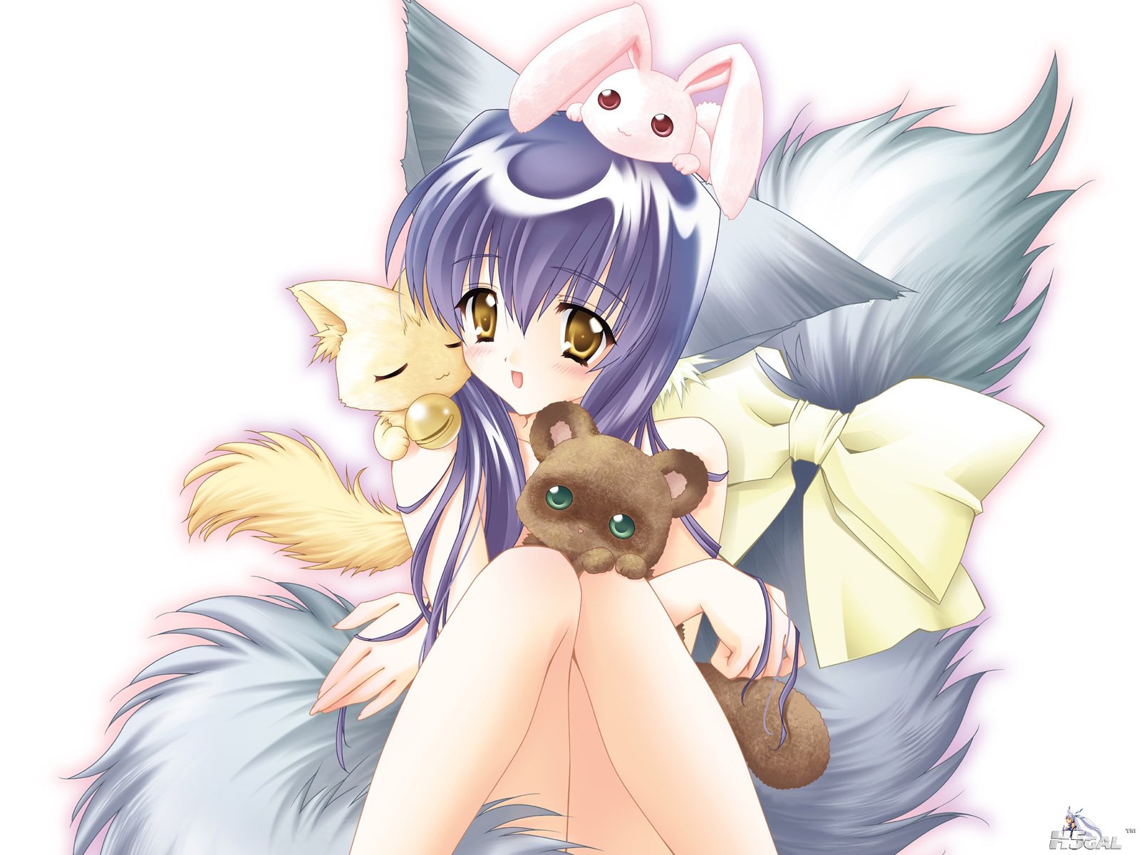webkey_2_5_013.jpg