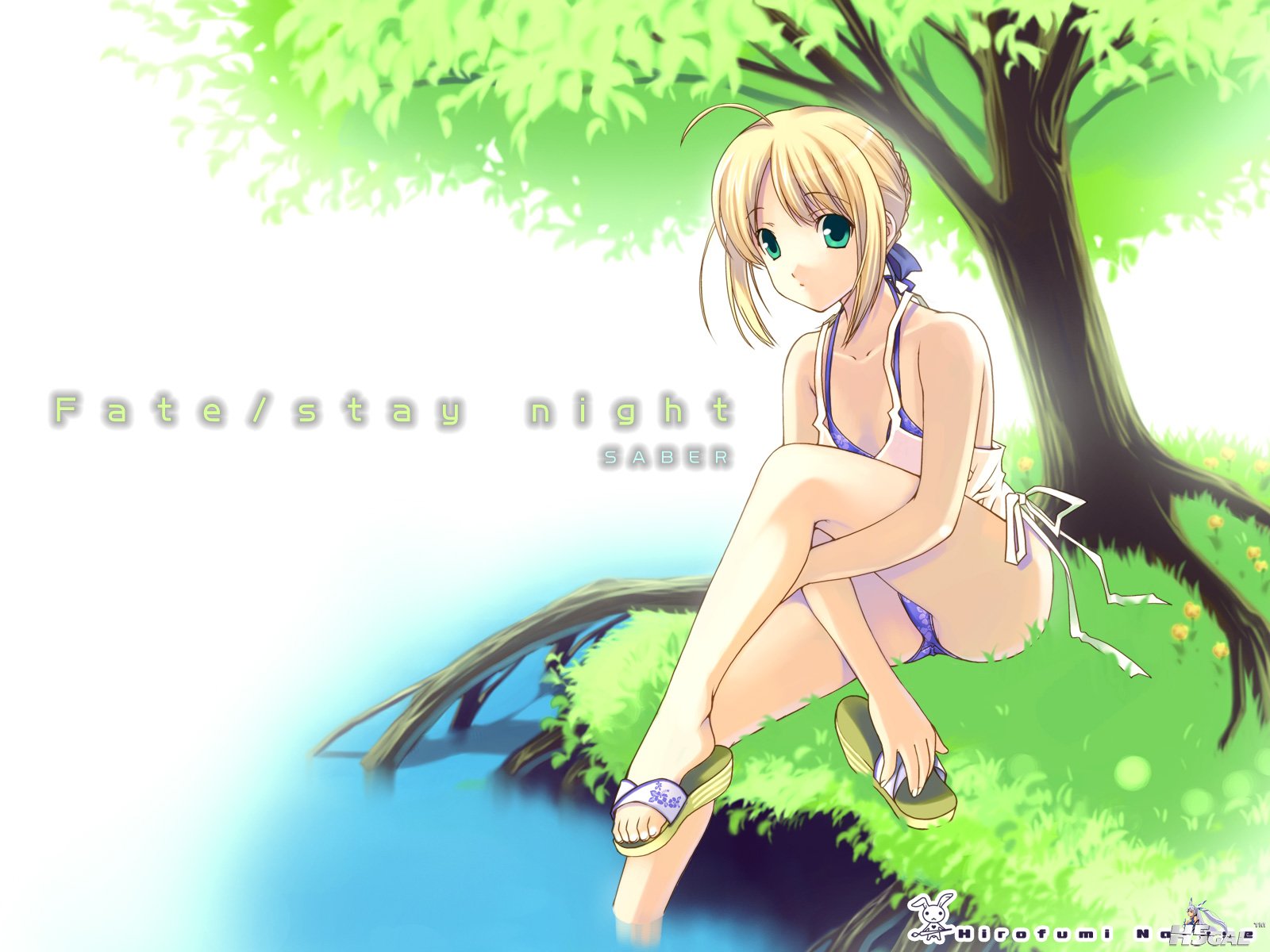Konachan.com - 25826 fate_stay_night saber summer.jpeg