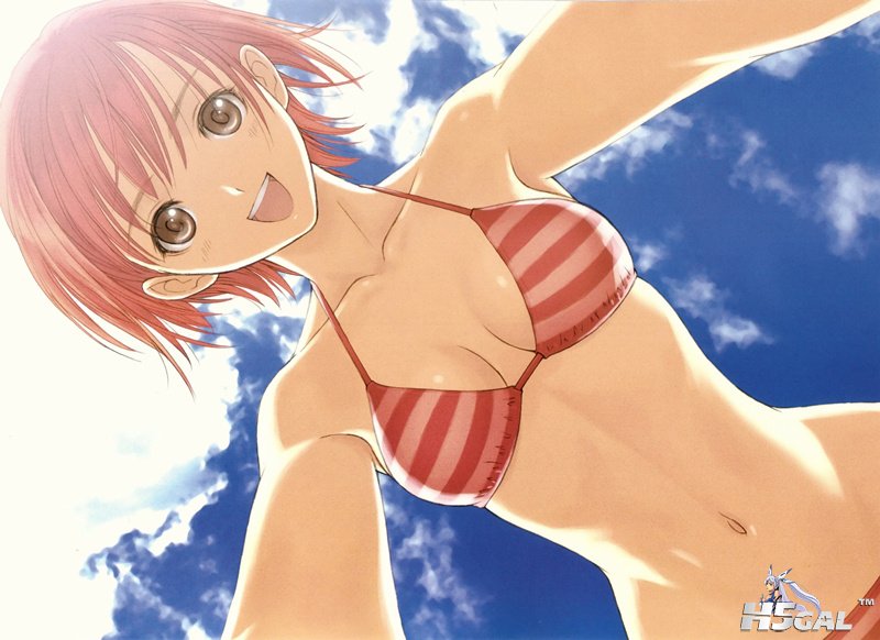konachan 96928 bikini_top brown_eyes cleavage kanon_seena pink_hair shining_wind.jpg