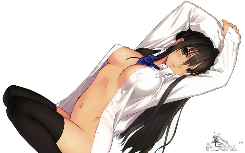 konachan 103301 brown_eyes brown_hair long_hair no_bra nopan open_shirt stocking.jpg