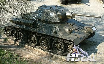 219.jpg