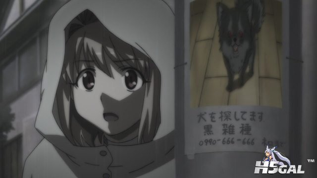 412.jpg