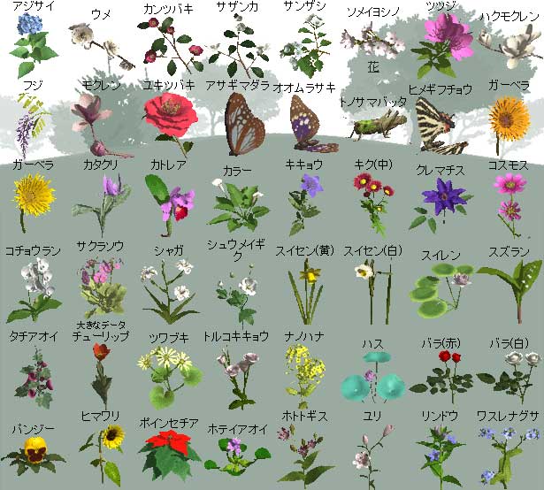 PlantJ.jpg