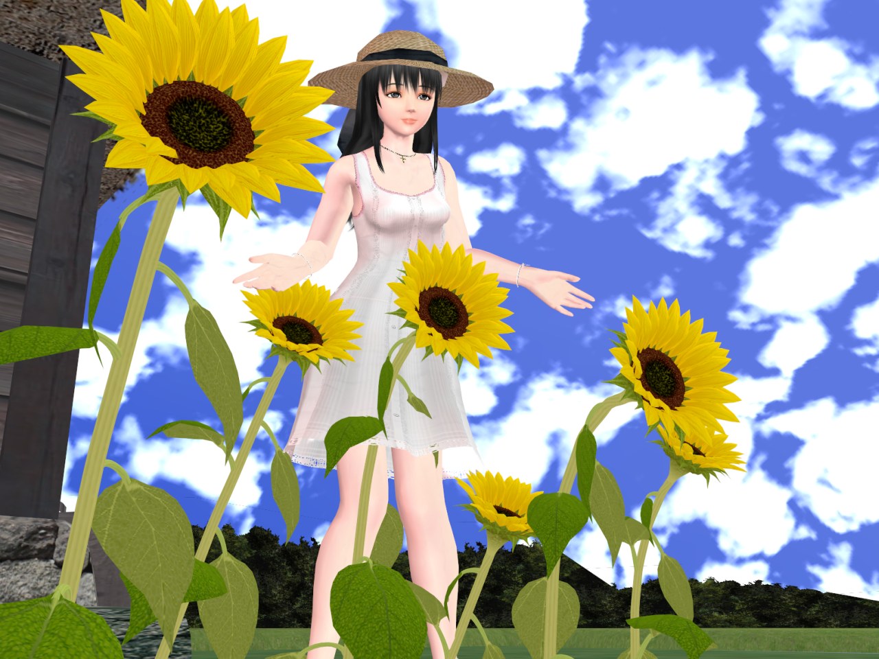 sample407.jpg