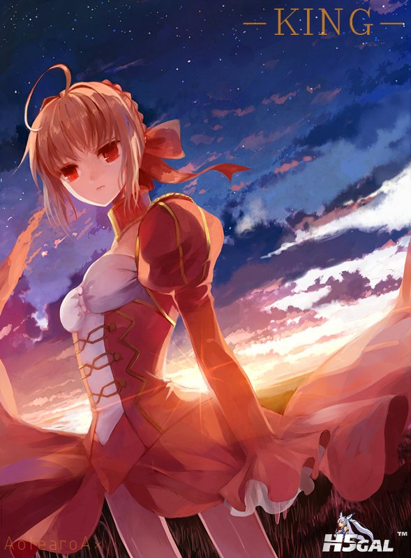 Fate extra saber nero (14).jpg
