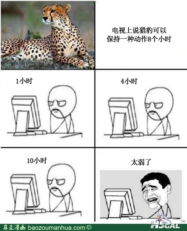 1016f23d6eeebef3e.jpg