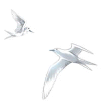 sky_sora1.gif