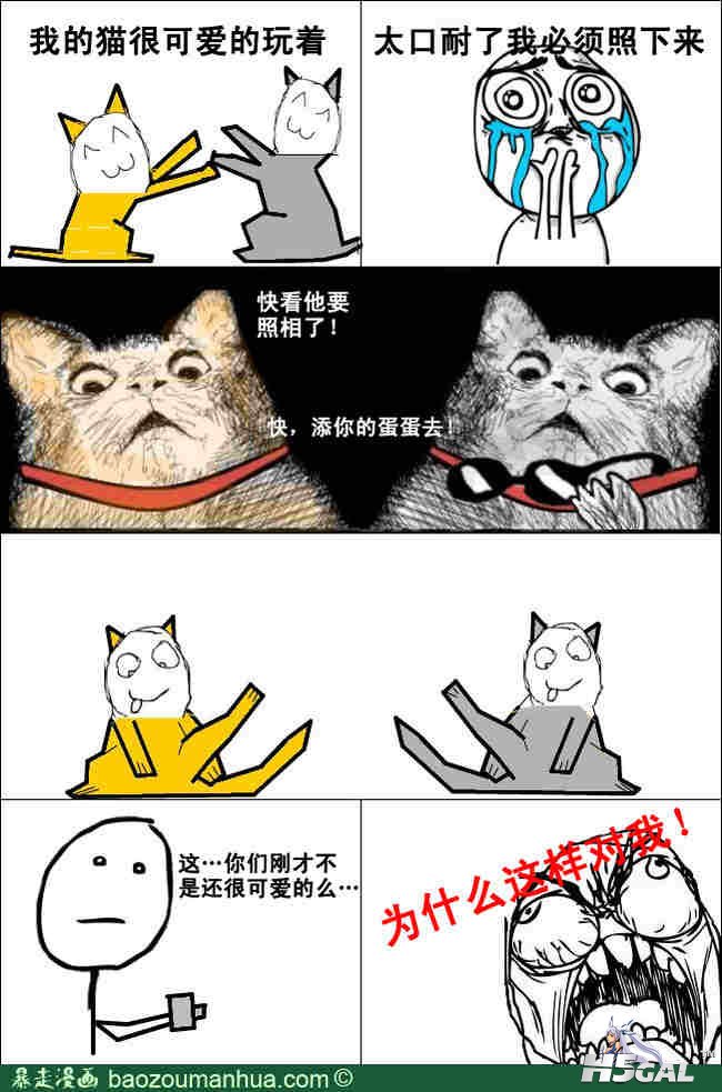 f756892246ff7df6.jpg
