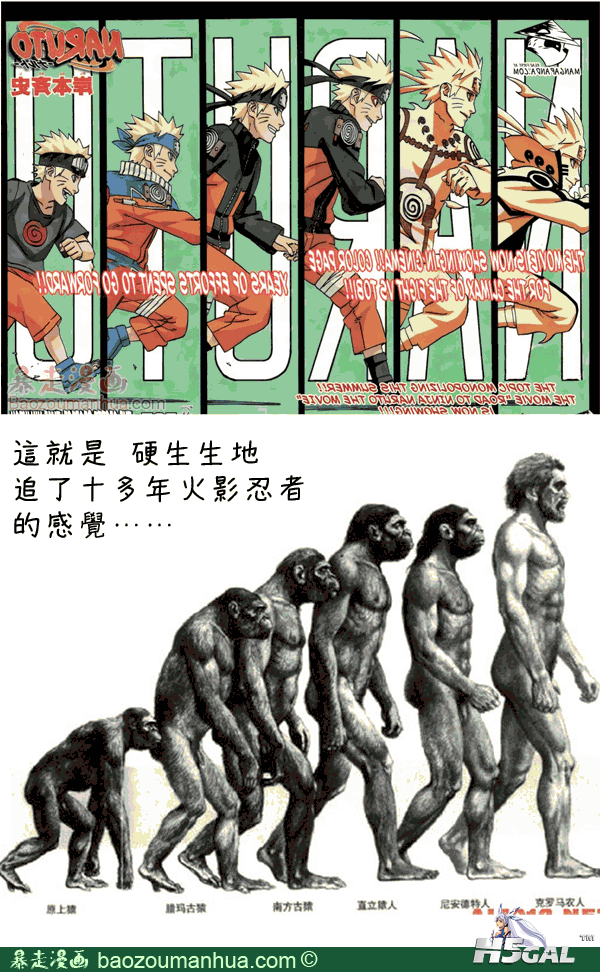 8d87827e11427e4a.png