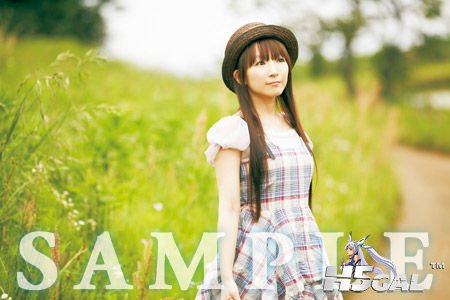1208201158975b7daaeeb78523.jpg