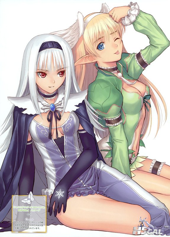 yande 161752 blanc_neige cleavage elf elwing garter shining_tears shining_world .jpg