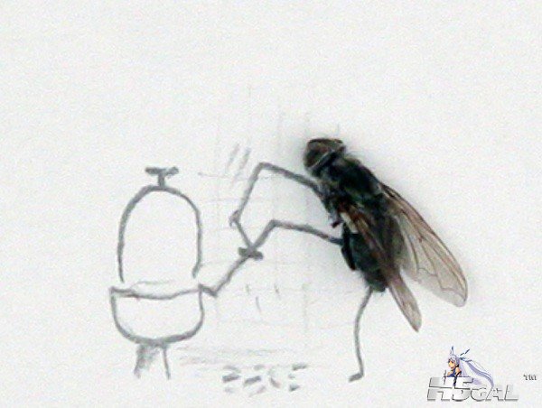 x_large_oVYI_50fc0000ba601263.jpg