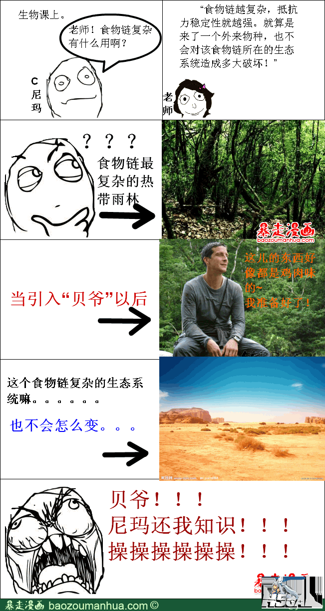 113461614672573146.png