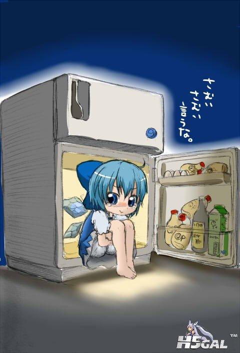 p684808_cirno girl_in_refrigerator refrigerator tagme tears the_embodiment_of_sc.jpg