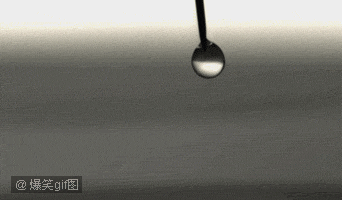 019.gif