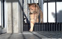 7720131fjw1dwvaf85bzog.gif