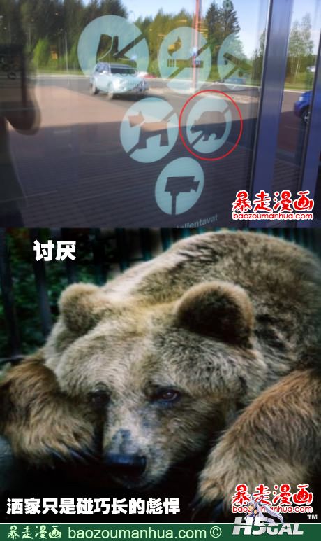 e49157eef2b80361.png