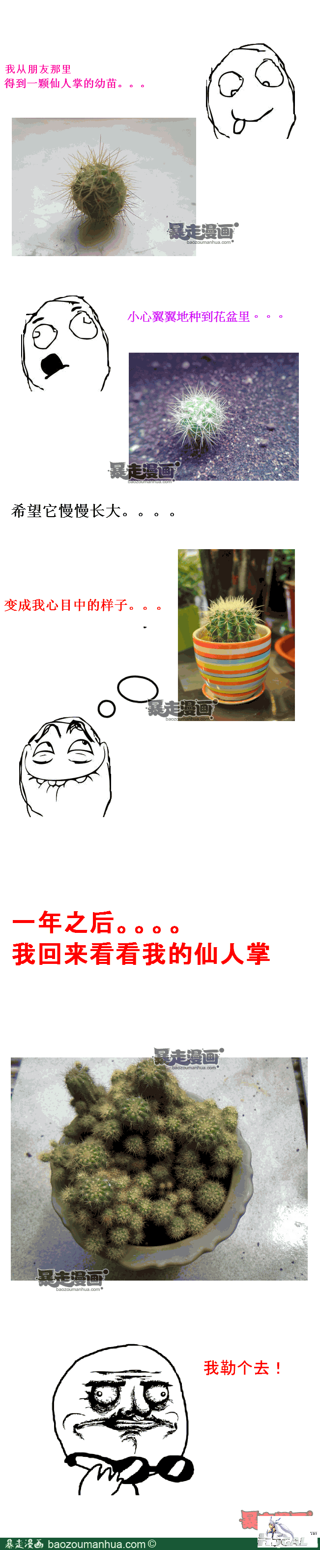 113479497977952804.png