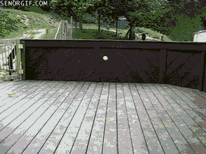 001.gif
