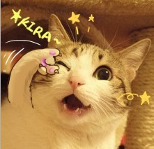 未命名.jpg