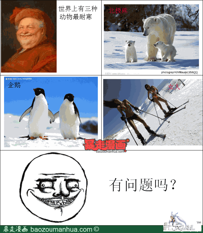 1d416065c80974d218de836213f37db47.png