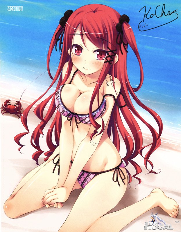 yande 229542 bikini cleavage hinomiya_ayari ko~cha swimsuits windmill witch\\\&#.jpg