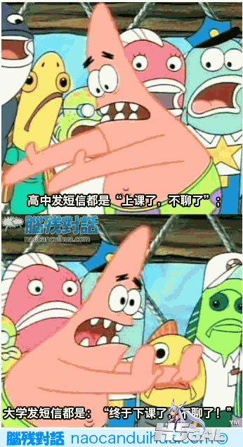 15.png