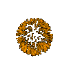 22[1].百花齐放.gif