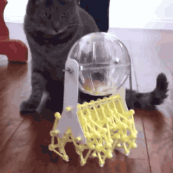 1.gif