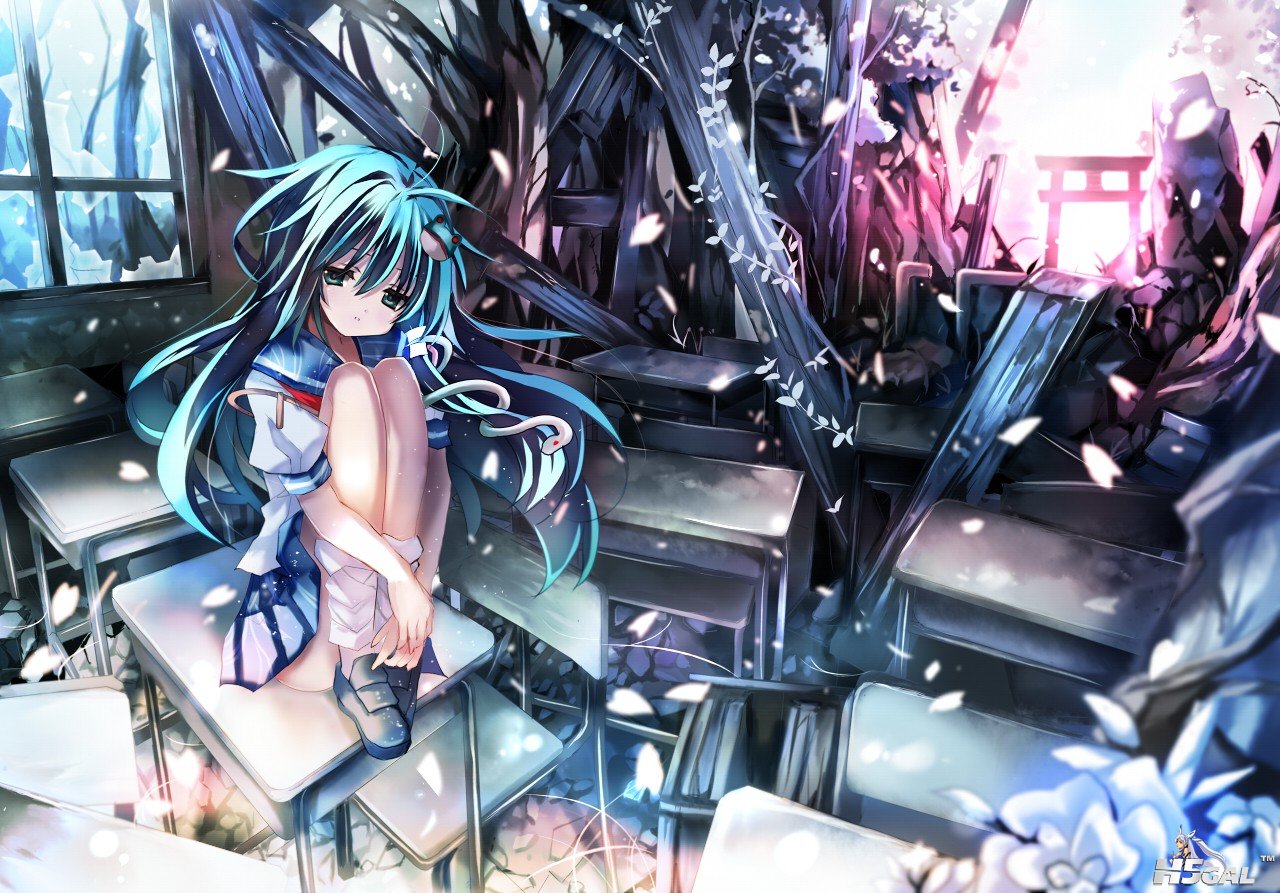 [ROAME][20121220][095100][0002][250361].jpg