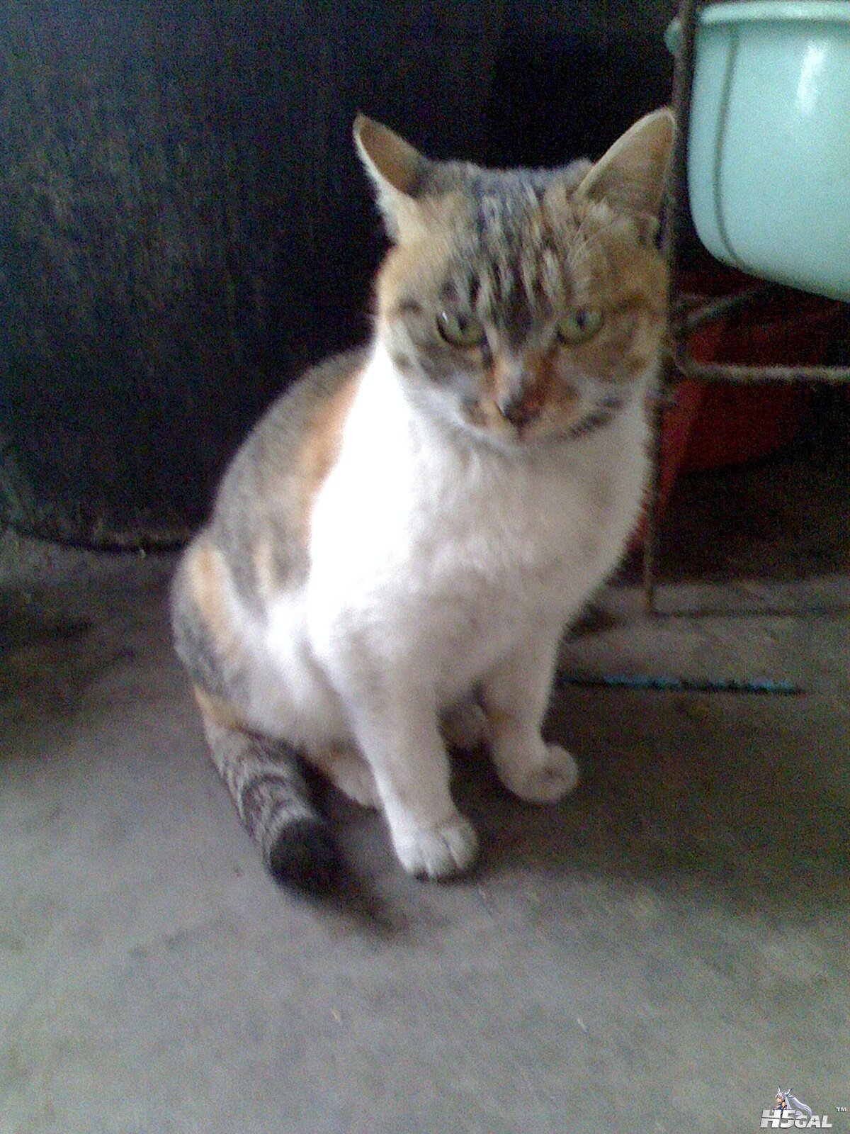 IMG0106160000.jpg