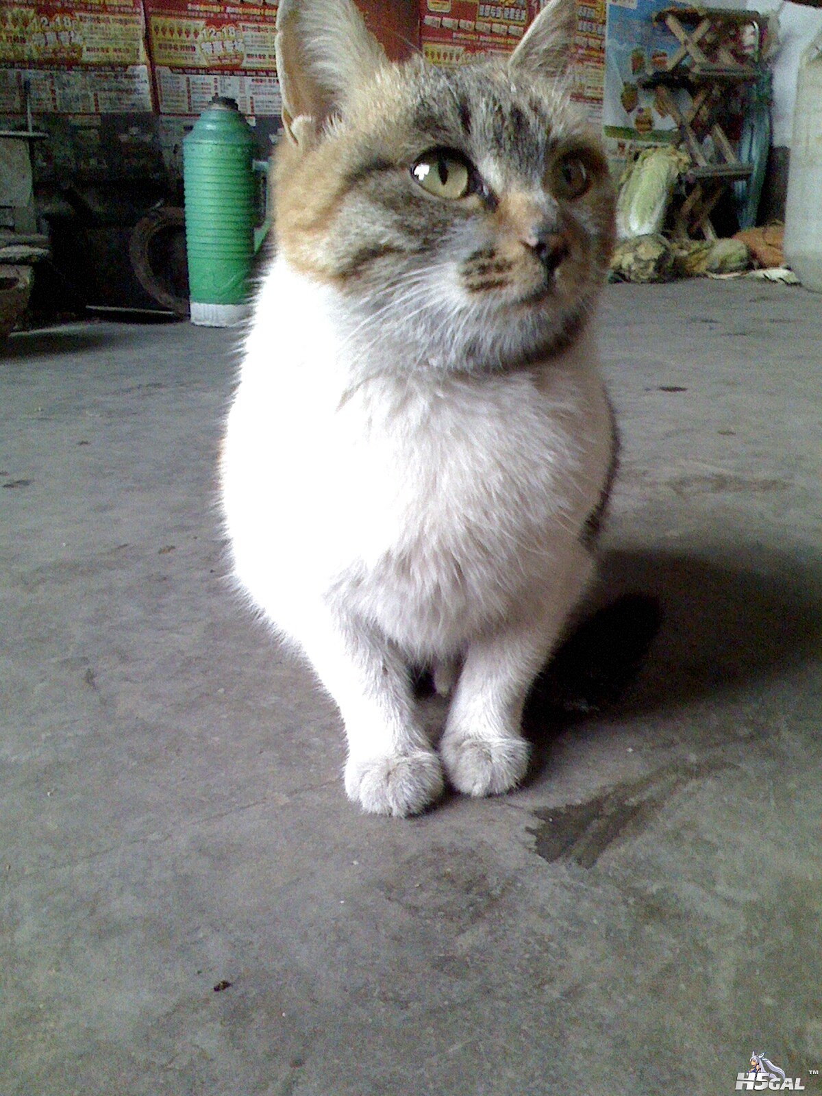IMG0106160800.jpg