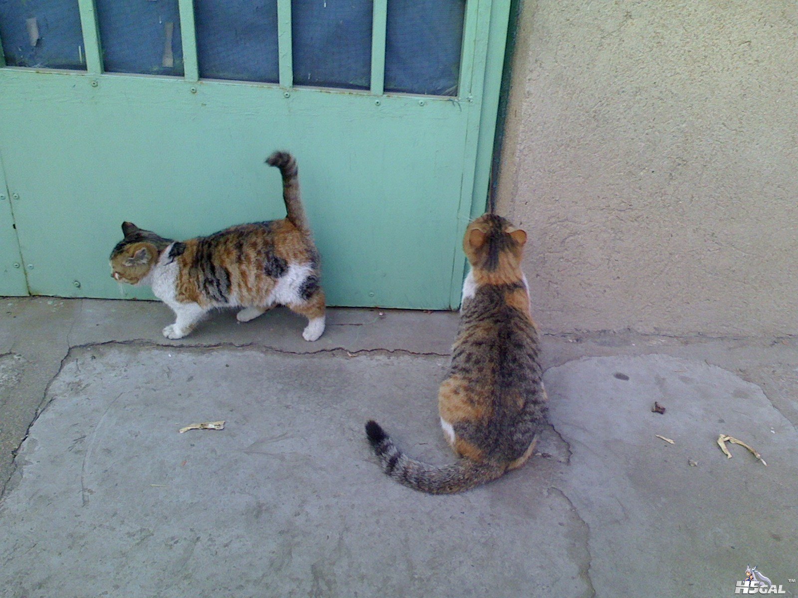 旋转 IMG0106153800.jpg