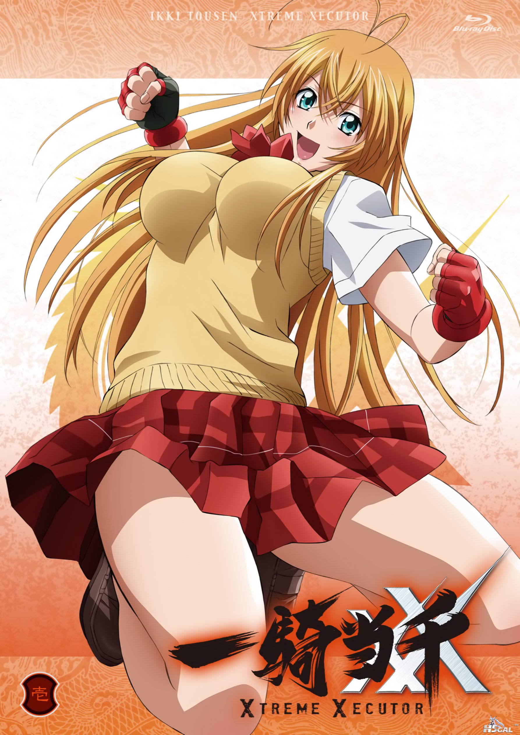 yande 132512 disc_cover ikkitousen ikkitousen~xtreme_xecutor~ jpeg_artifacts sei.jpg