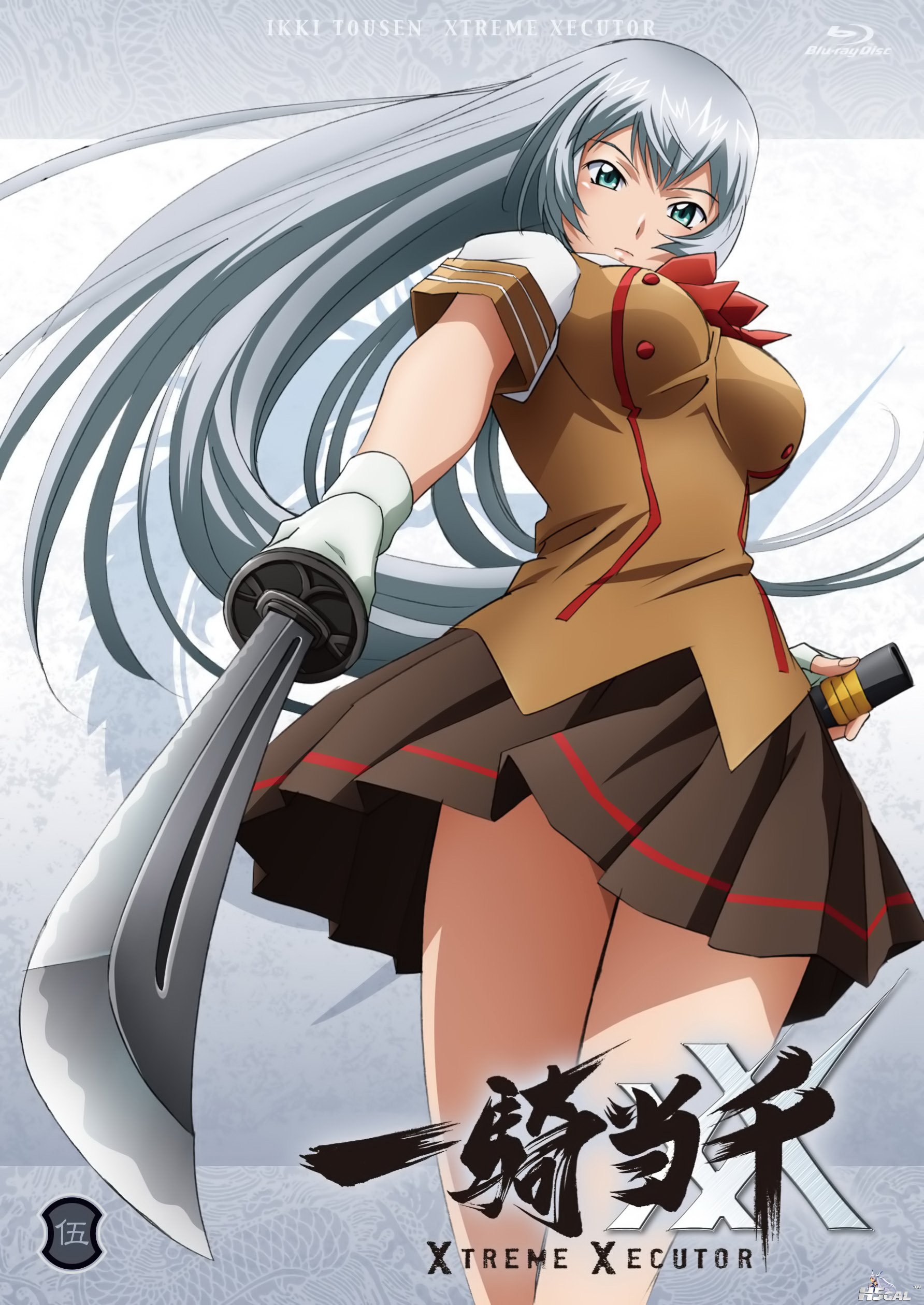 yande 156737 chouun_shiryuu disc_cover ikkitousen ikkitousen~xtreme_xecutor~ scr.jpg