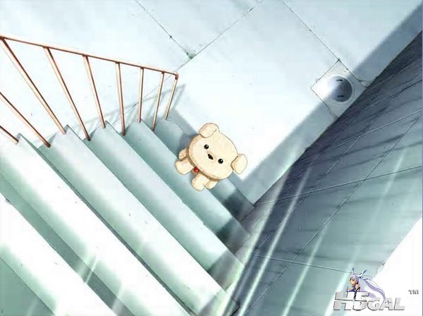 土豆2~~1.JPG