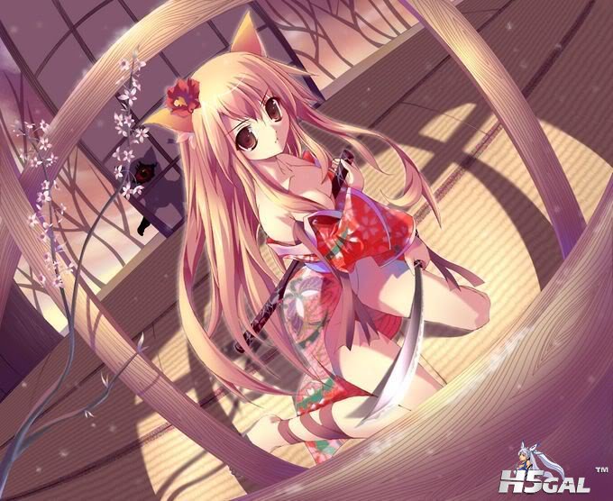 Cat01.jpg