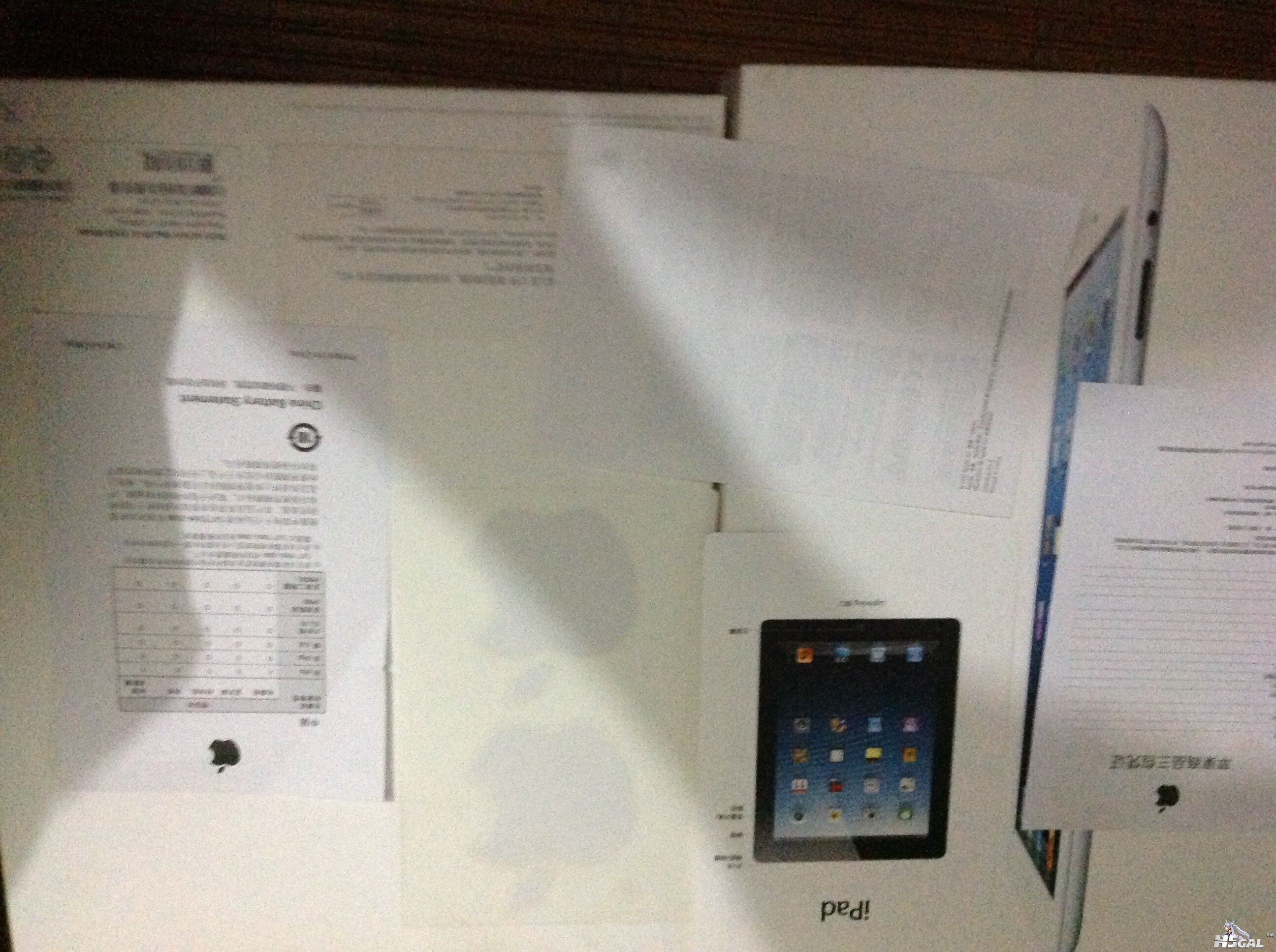 IMG_0005.jpg