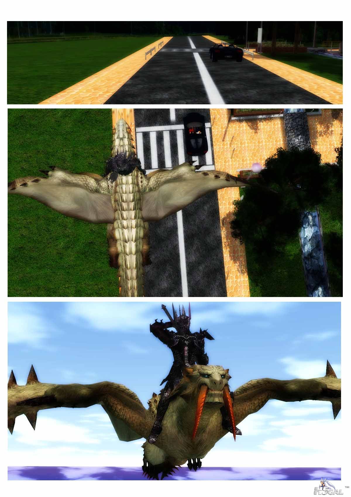 27.jpg