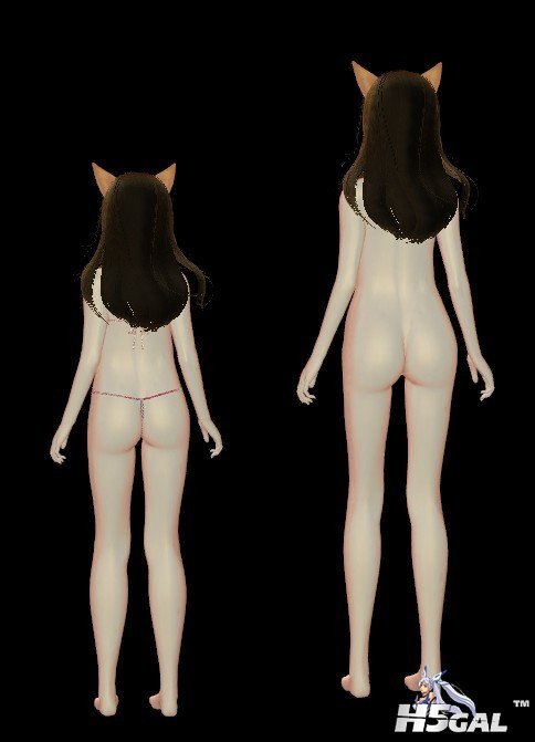 y1.jpg