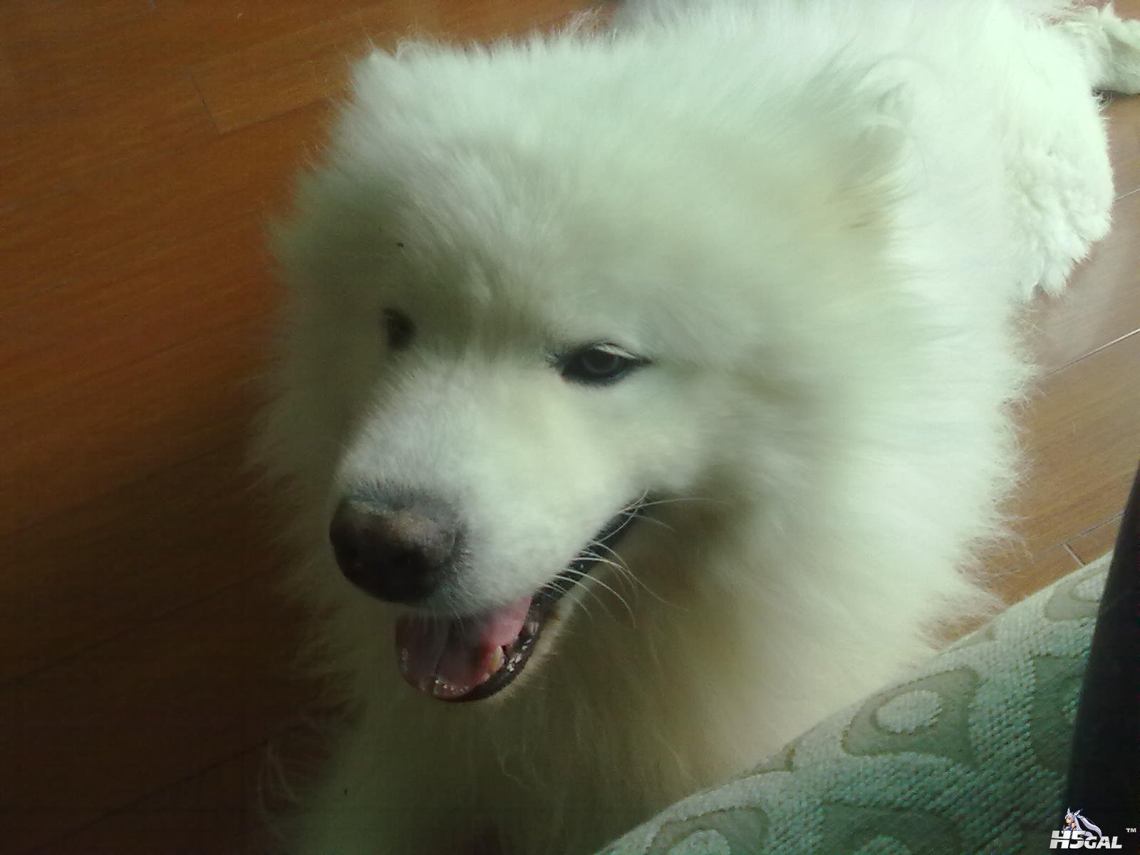 20110915104.jpg