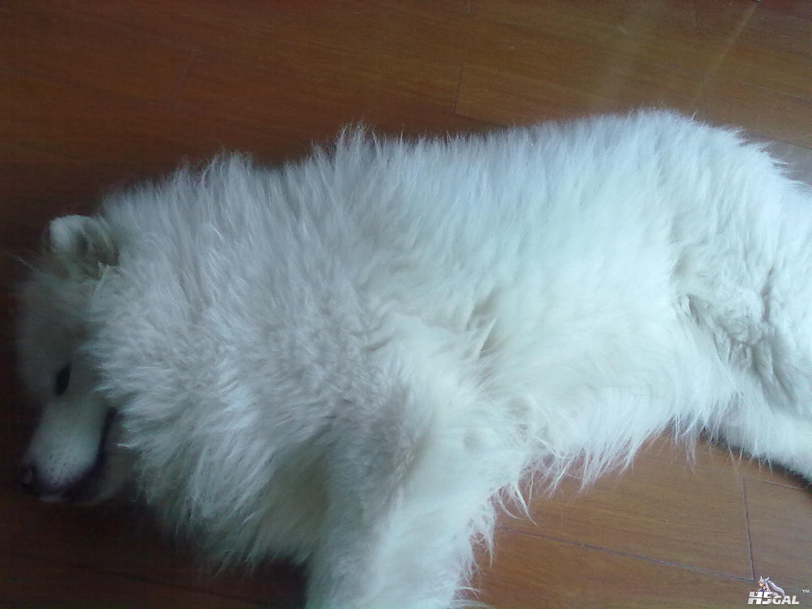 20110915106.jpg