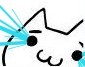 猫咪.jpg