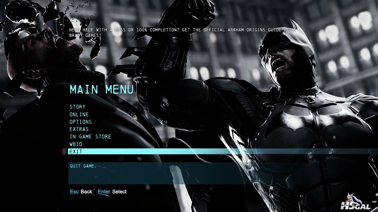BatmanOrigins_2013_10_26_23_17_10_734.jpg
