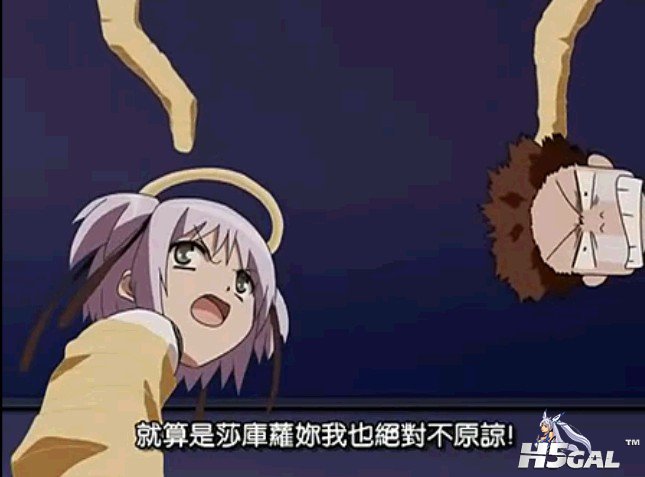 qa11.jpg