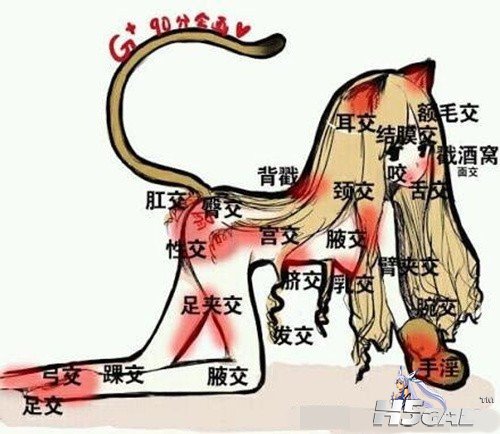 QQ图片20131007171802.jpg