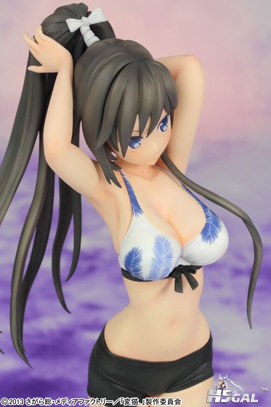 FIGURE-003997_11.jpg