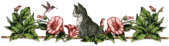 u=3954500805,3088730272&fm=21&gp=0.jpg
